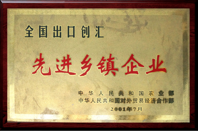 全國出口創匯-先進鄉鎮企業