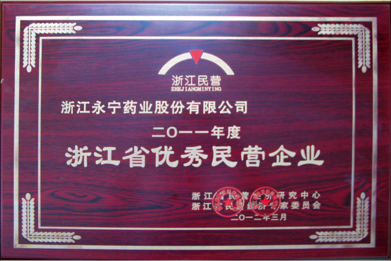 浙江省優秀民營企業
